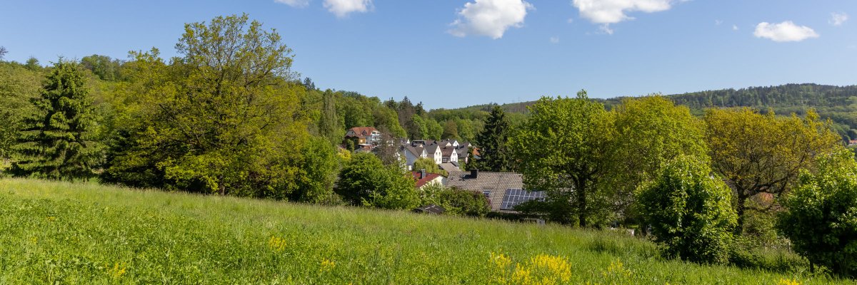 Intakte schützenswerte Natur um Niedernhausen