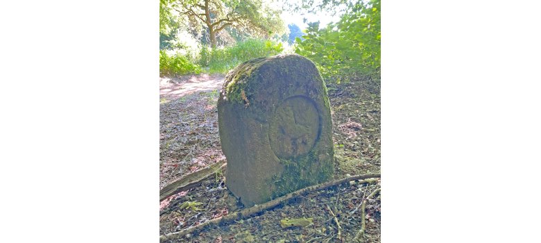 Ein alter Grenzstein im Wald