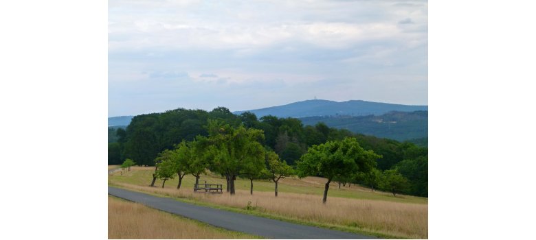 Blick auf den Feldberg