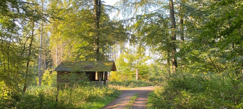Hütte an einem Waldweg