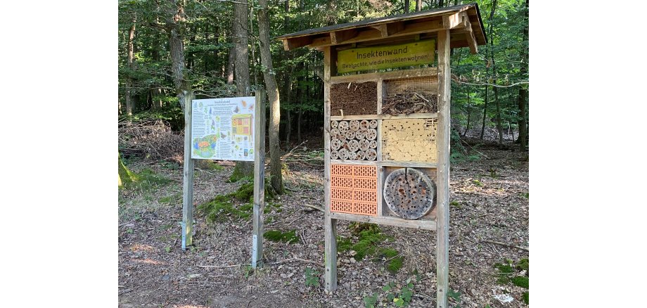 Ein Hinweisschild und eine Insektenwand