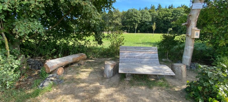 Blick auf eine sonnenbeschienene Liegebank vor einer grünen Hecke