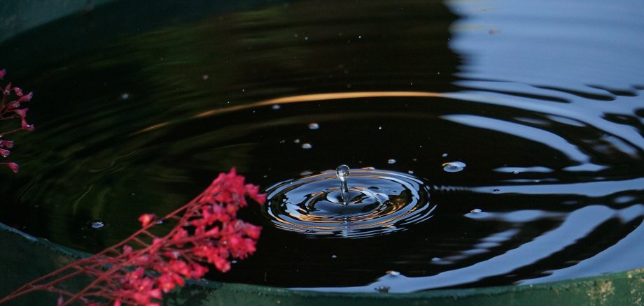 Wassertropfen in Regentonne