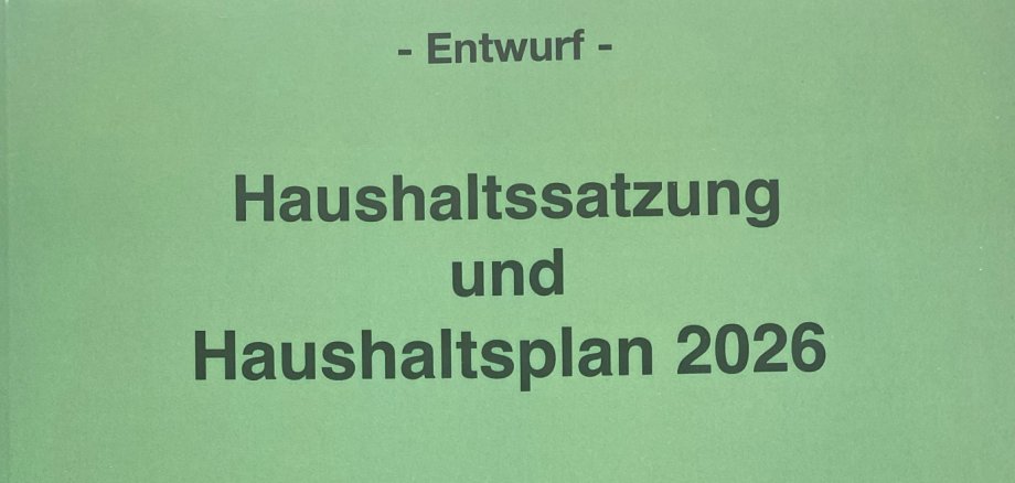 Ein grüner Buchumschlag mit der Aufschrift "Haushaltsplan und Haushaltssatzung 2026"