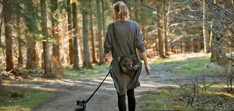 Eine Frau führt im Wald einen Hund an der Leine