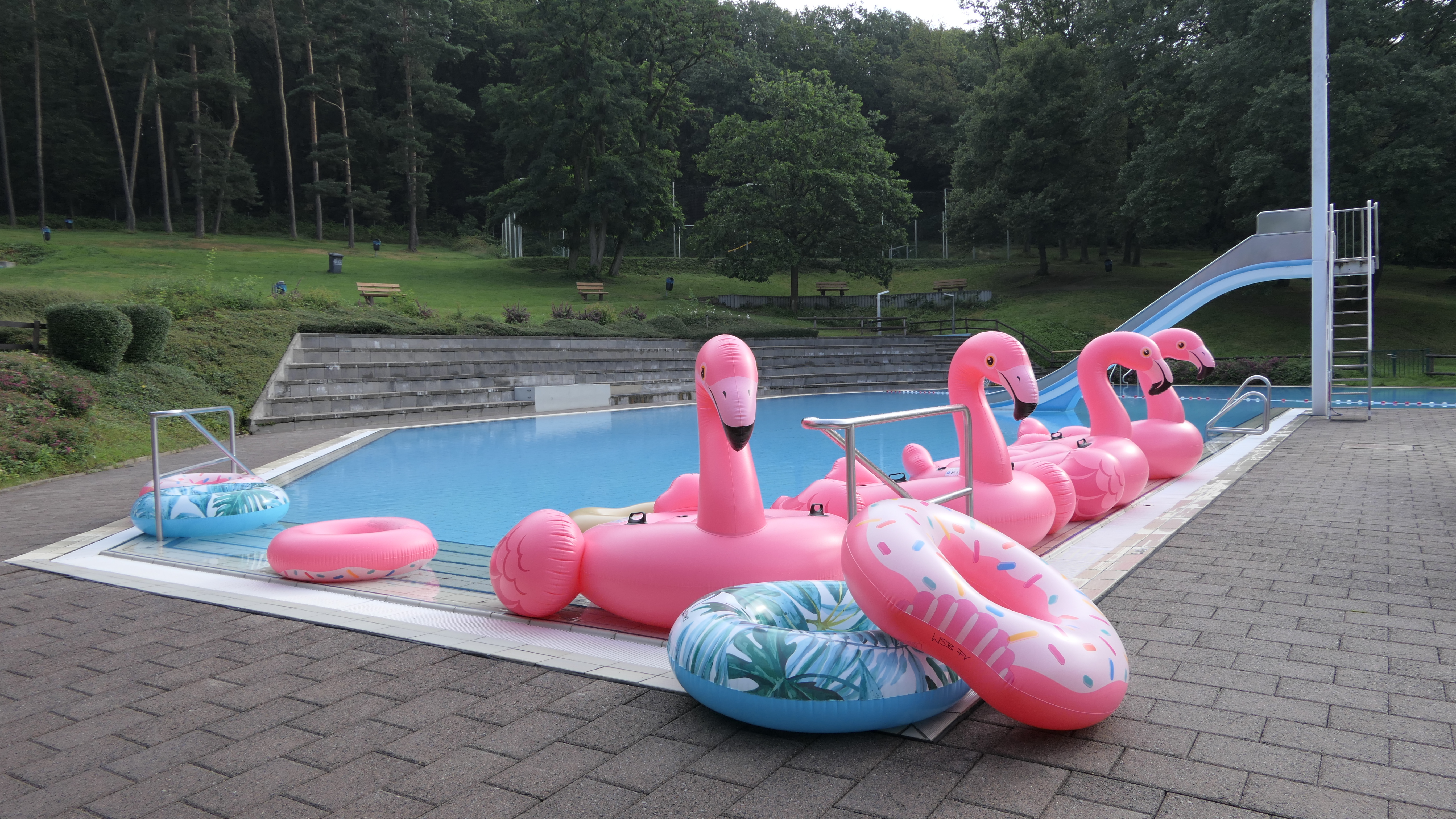 Rosa Schwimmreifen in Flamingo-Form am Rand eines Schwimmbeckens