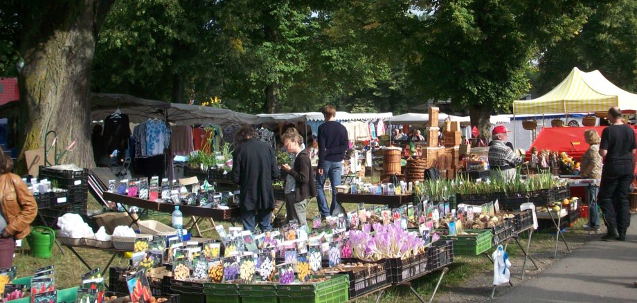 Bunte Marktstände unter belaubten Bäumen
