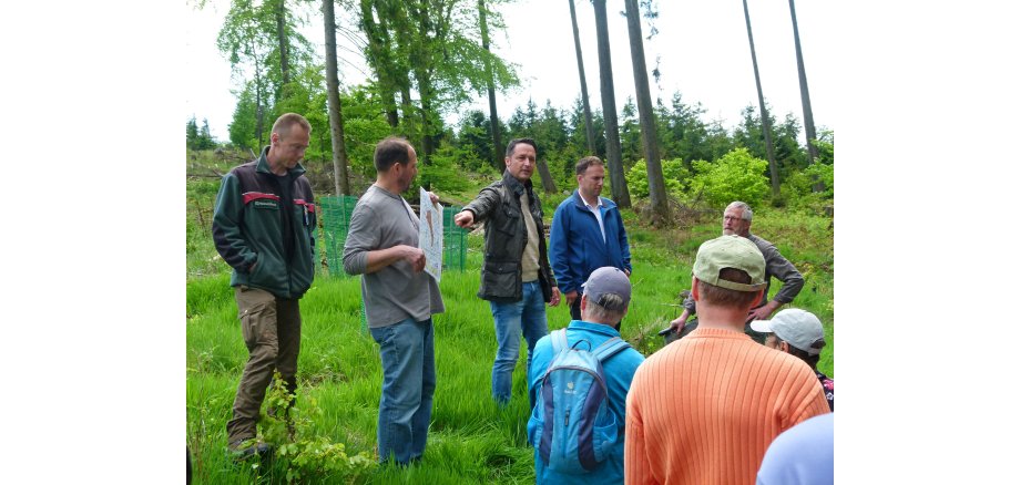 Vier Personen stehen auf einem Abhang im Wald. Vor ihnen stehen weitere Personen.