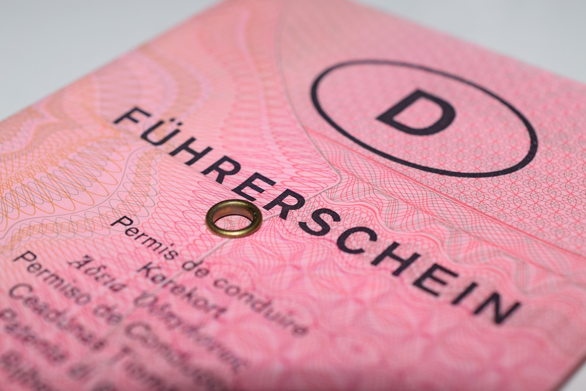 Deckblatt des alten rosa Führerscheins