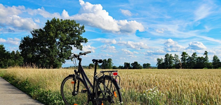 Abgestelltes Fahrrad am Rand eines Weges, im Hintergrund ein Kornfeld und Bäume