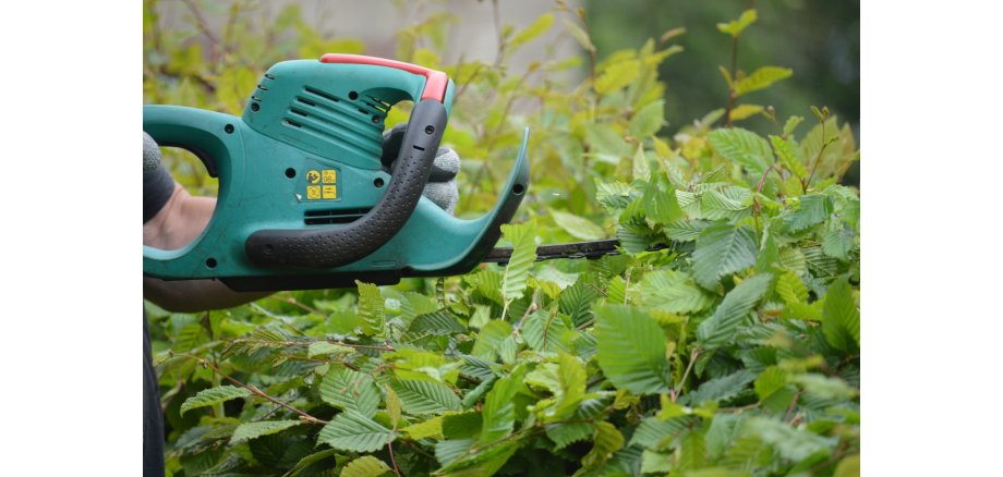 Elektrische Heckenschere schneidet eine Hecke