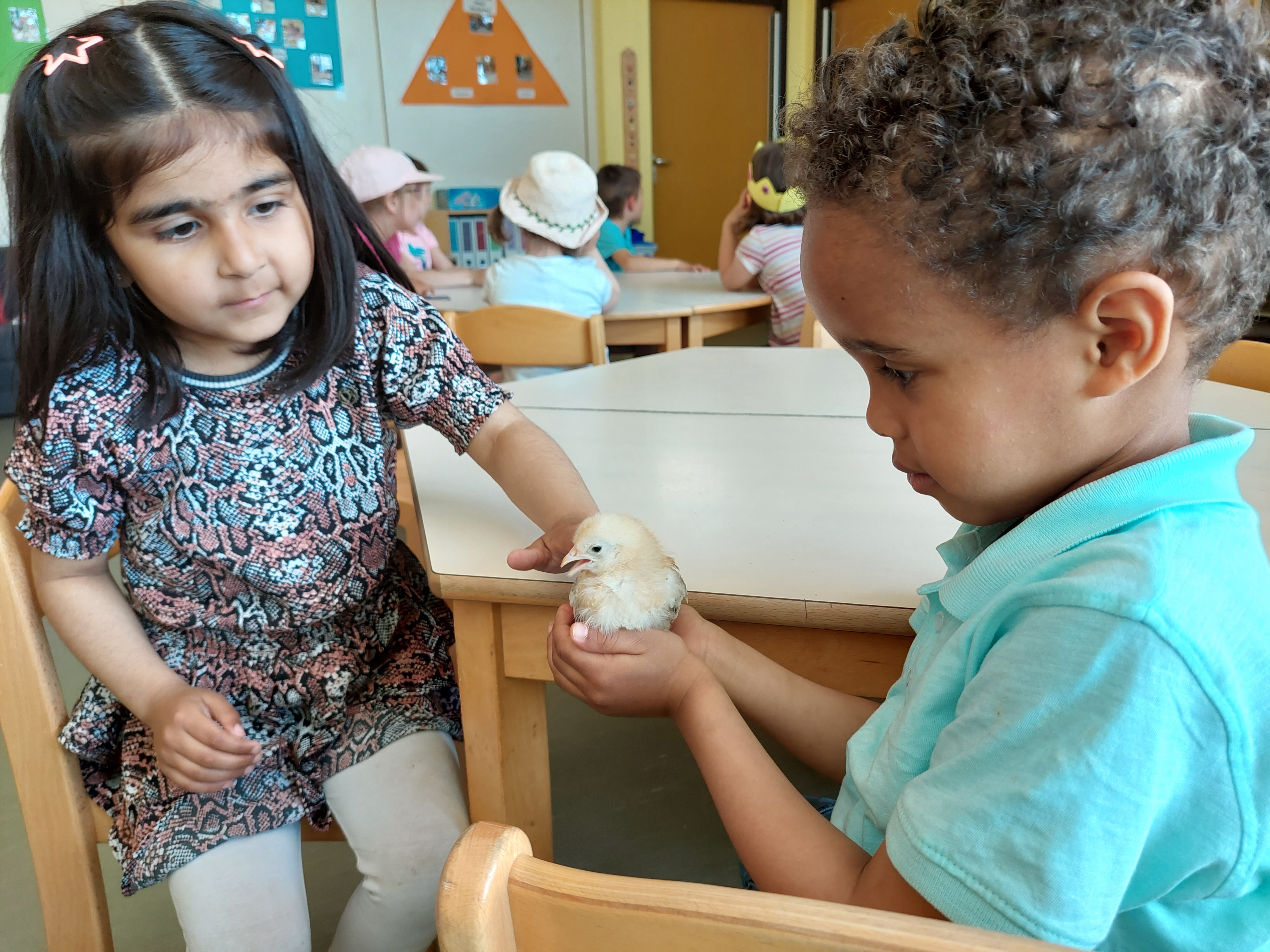 Zwei Kinder, eines davon hält ein Küken in den Händen