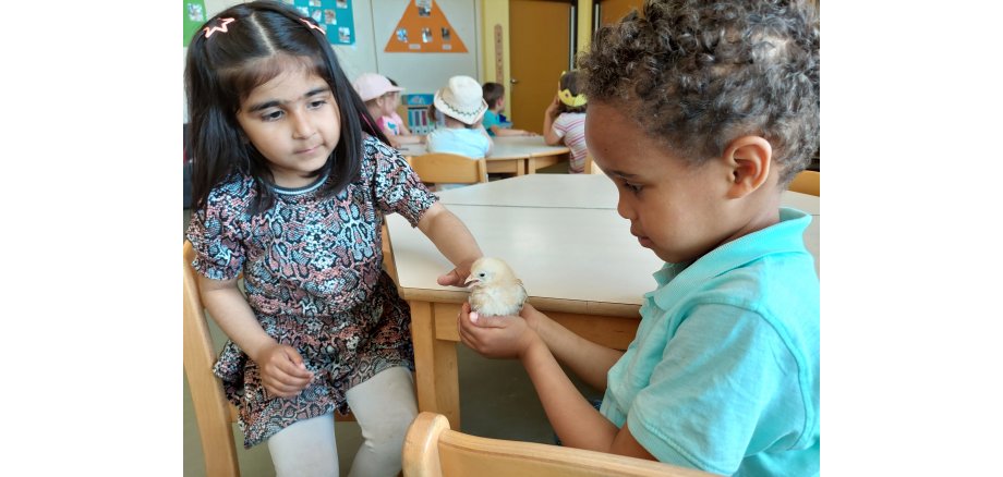 Zwei Kinder, eines davon hält ein Küken in den Händen