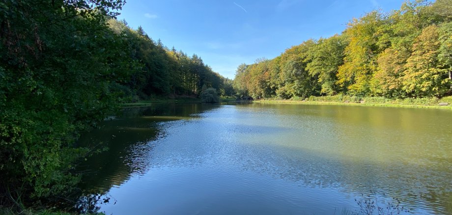 Waldsee im Theißtal