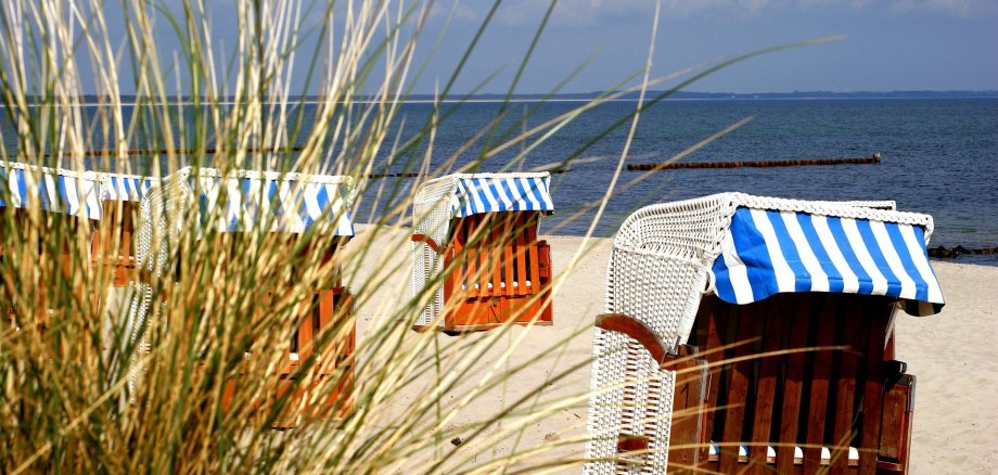 Ein sonniger Strand mit Strandkörben